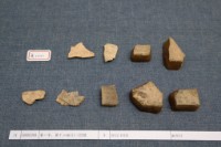 藏品(殷墟有字甲片)的圖片