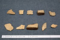 藏品(殷墟有字甲片)的圖片