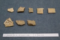 藏品(殷墟有字甲片)的圖片