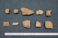 藏品(殷墟有字甲片)的圖片