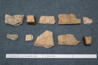 藏品(殷墟有字甲片)的圖片