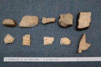 藏品(殷墟有字甲片)的圖片