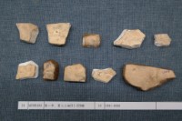 藏品(殷墟有字甲片)的圖片