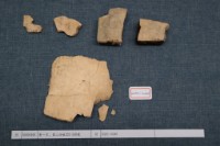 藏品(殷墟有字甲片)的圖片