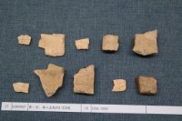 藏品(殷墟有字甲片)的圖片
