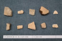 藏品(殷墟有字甲片)的圖片