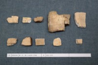 藏品(殷墟有字甲片)的圖片