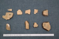 藏品(殷墟有字甲片)的圖片