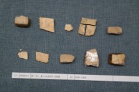 藏品(殷墟有字甲片)的圖片