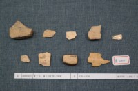 藏品(殷墟有字甲片)的圖片