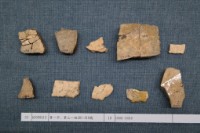 藏品(殷墟有字甲片)的圖片