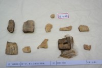 藏品(殷墟有字甲片)的圖片