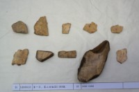 藏品(殷墟有字甲片)的圖片