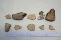 藏品(殷墟有字甲片)的圖片