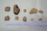 藏品(殷墟有字甲片)的圖片