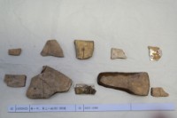 藏品(殷墟有字甲片)的圖片