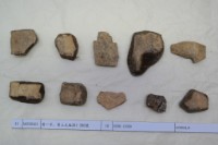 藏品(殷墟有字甲片)的圖片