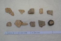 藏品(殷墟有字甲片)的圖片