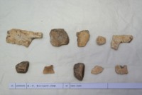 藏品(殷墟有字甲片)的圖片