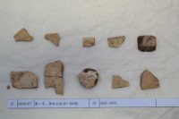 藏品(殷墟有字甲片)的圖片