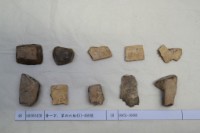 藏品(殷墟有字甲片)的圖片