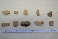 藏品(殷墟有字甲片)的圖片