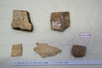 藏品(殷墟有字甲片)的圖片