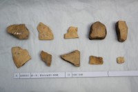 藏品(殷墟有字甲片)的圖片