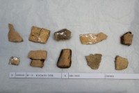 藏品(殷墟有字甲片)的圖片