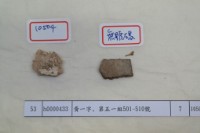 藏品(殷墟有字甲片)的圖片