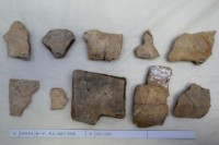 藏品(殷墟有字甲片)的圖片