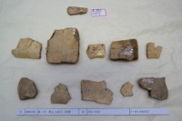 藏品(殷墟有字甲片)的圖片