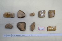 藏品(殷墟有字甲片)的圖片