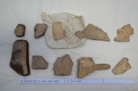 藏品(殷墟有字甲片)的圖片