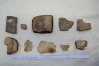 藏品(殷墟有字甲片)的圖片