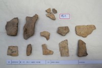 藏品(殷墟有字甲片)的圖片