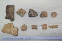 藏品(殷墟有字甲片)的圖片