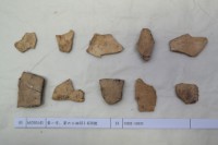 藏品(殷墟有字甲片)的圖片