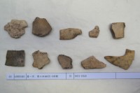 藏品(殷墟有字甲片)的圖片