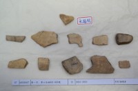 藏品(殷墟有字甲片)的圖片