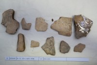 藏品(殷墟有字甲片)的圖片