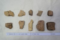 藏品(殷墟有字甲片)的圖片