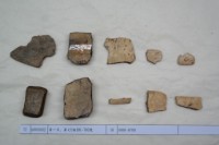 藏品(殷墟有字甲片)的圖片