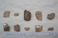 藏品(殷墟有字甲片)的圖片