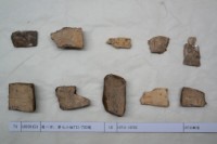 藏品(殷墟有字甲片)的圖片