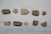 藏品(殷墟有字甲片)的圖片