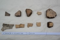 藏品(殷墟有字甲片)的圖片