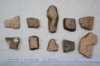 藏品(殷墟有字甲片)的圖片