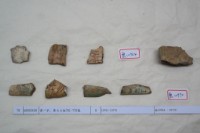 藏品(殷墟有字甲片)的圖片