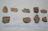 藏品(殷墟有字甲片)的圖片